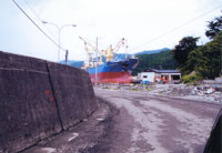岩手県釜石市　巨大な貨物船が堤防を乗り上げていた